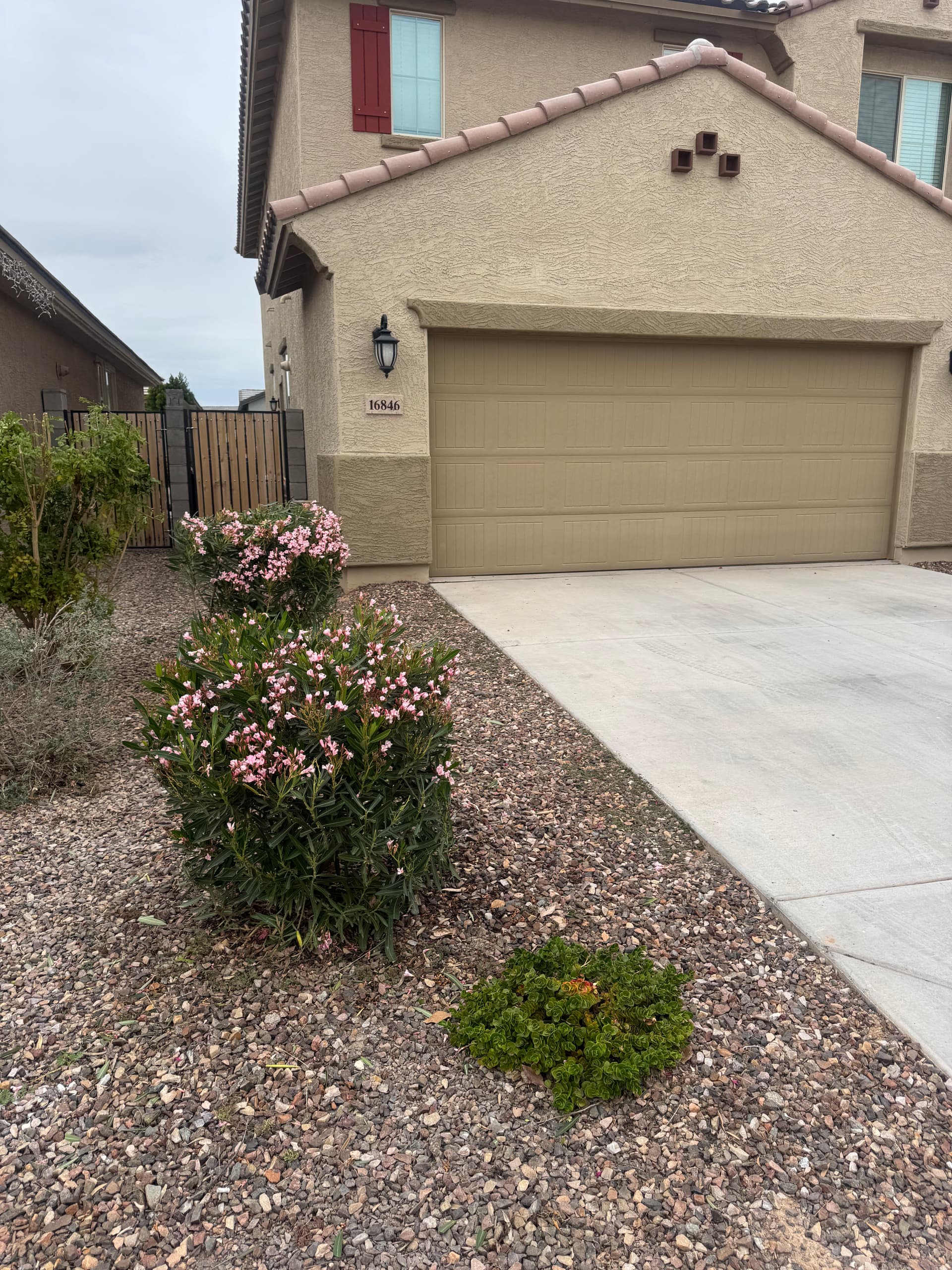 Gallery photos for Beautiful Yard with Expert Rock Landscaping: Image #1