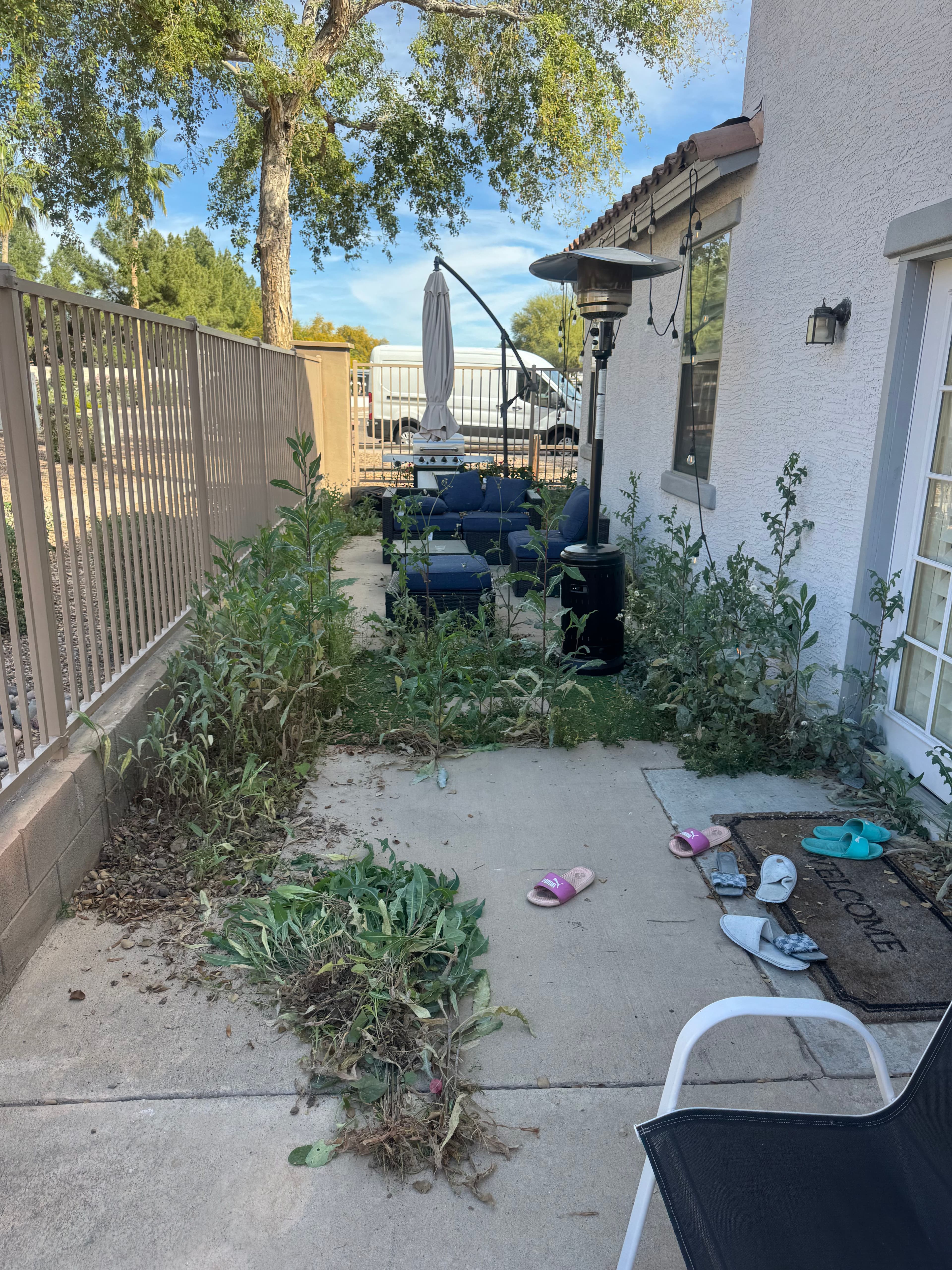 Project Backyard Clean-Up and Turf Installation image