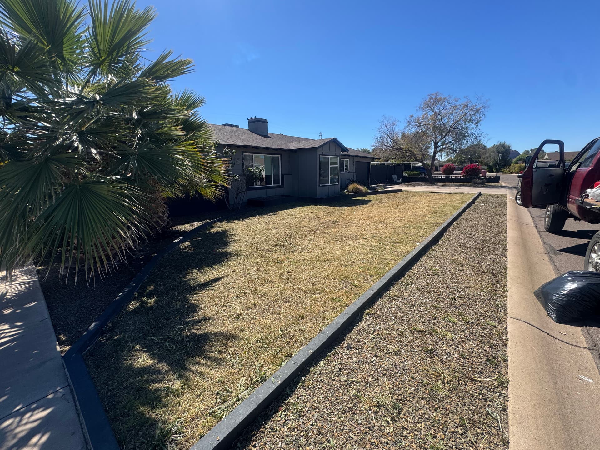 Weed Removal and Lawn Transformation