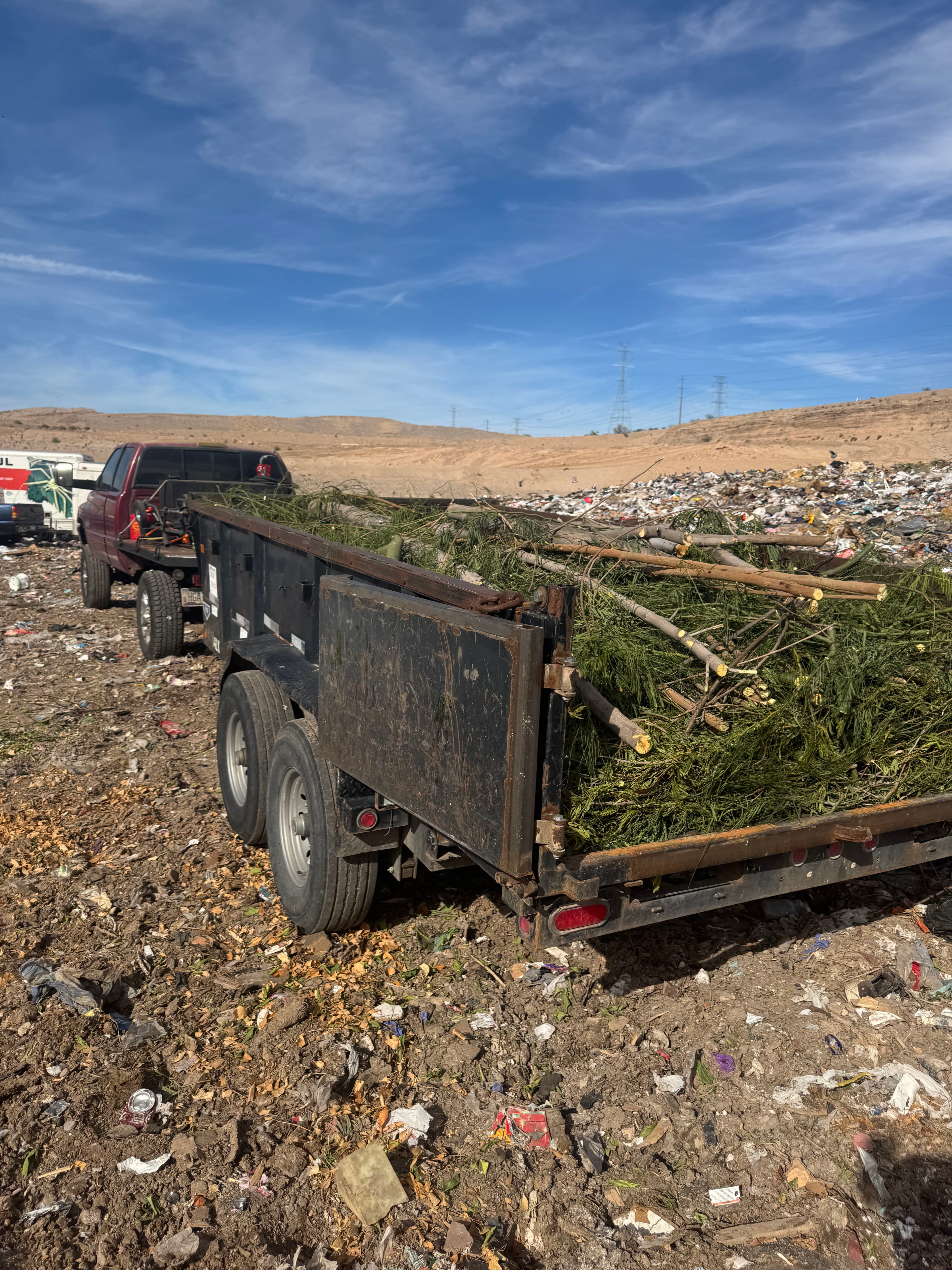 Project Efficient Tree Removal Services with Walsh Hardscapes image