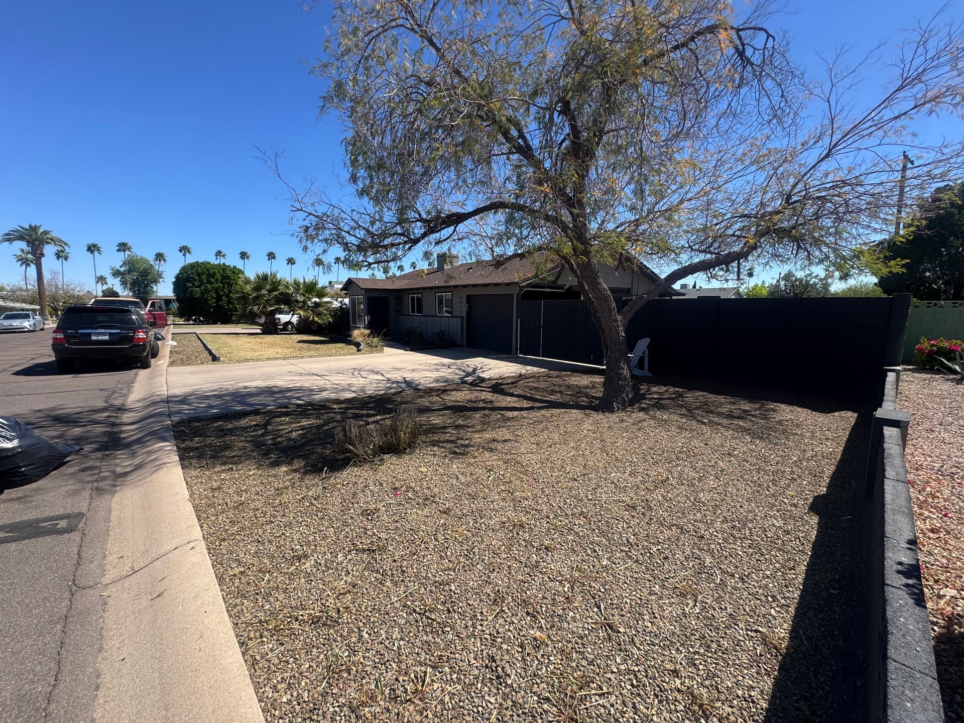 Weed Removal and Lawn Transformation