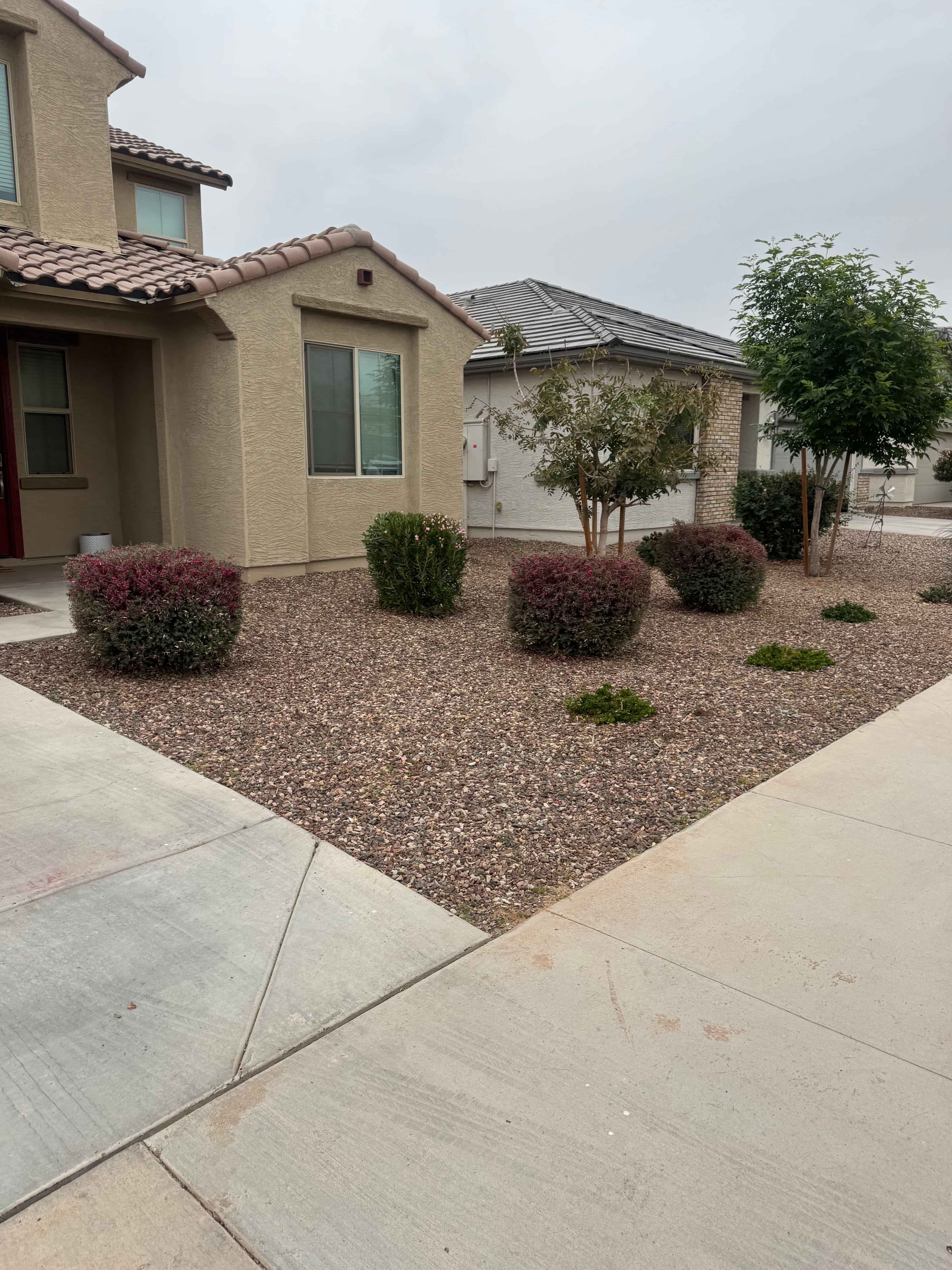 Project Beautiful Yard with Expert Rock Landscaping image