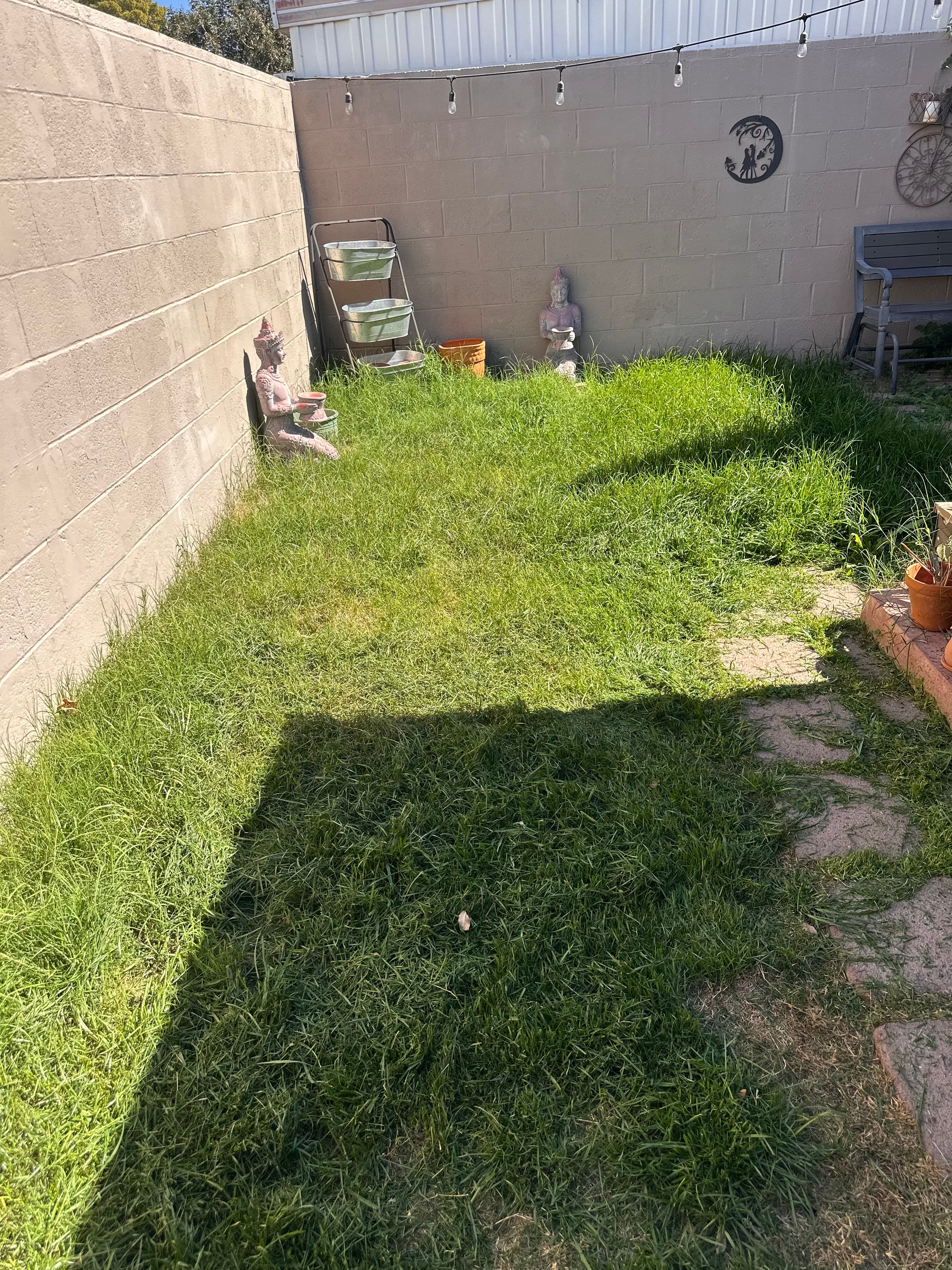 Project Backyard Makeover with Lush Greenery and Cozy Patio image