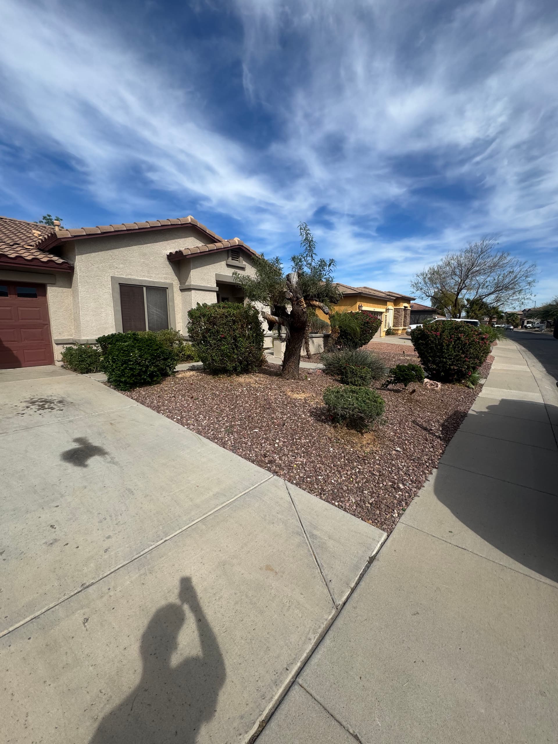 Desert Curb Appeal with Rock Landscaping