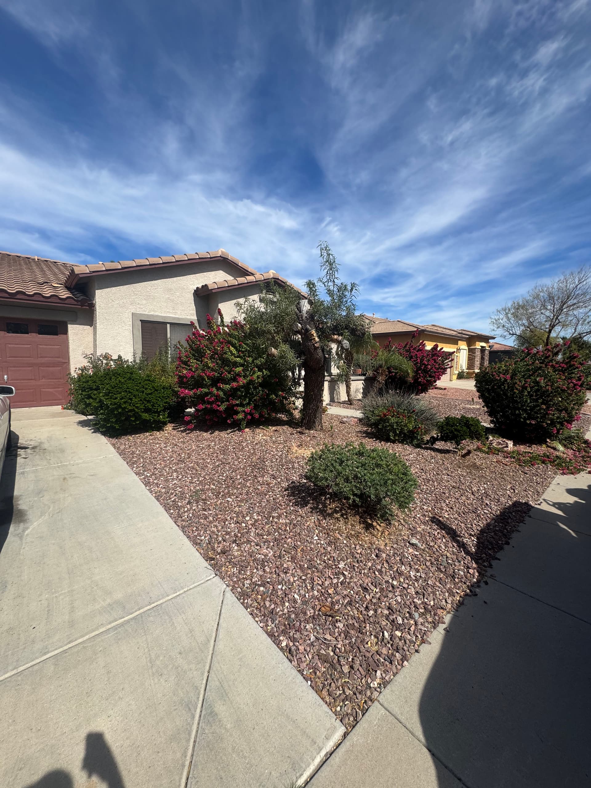 Gallery photos for Desert Curb Appeal with Rock Landscaping: Image #3