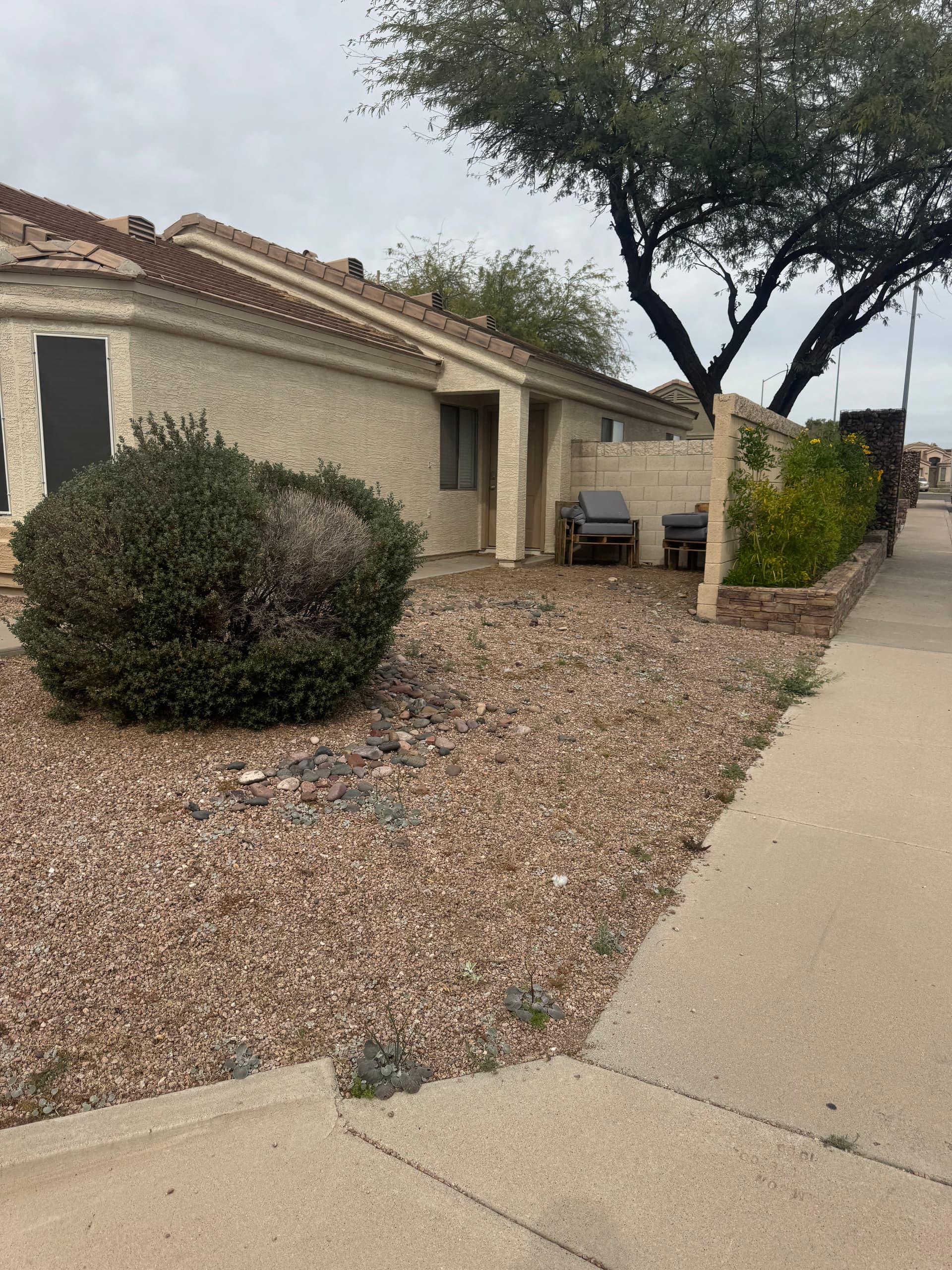 Gallery photos for Backyard Makeover with Paver Installation: Image #2