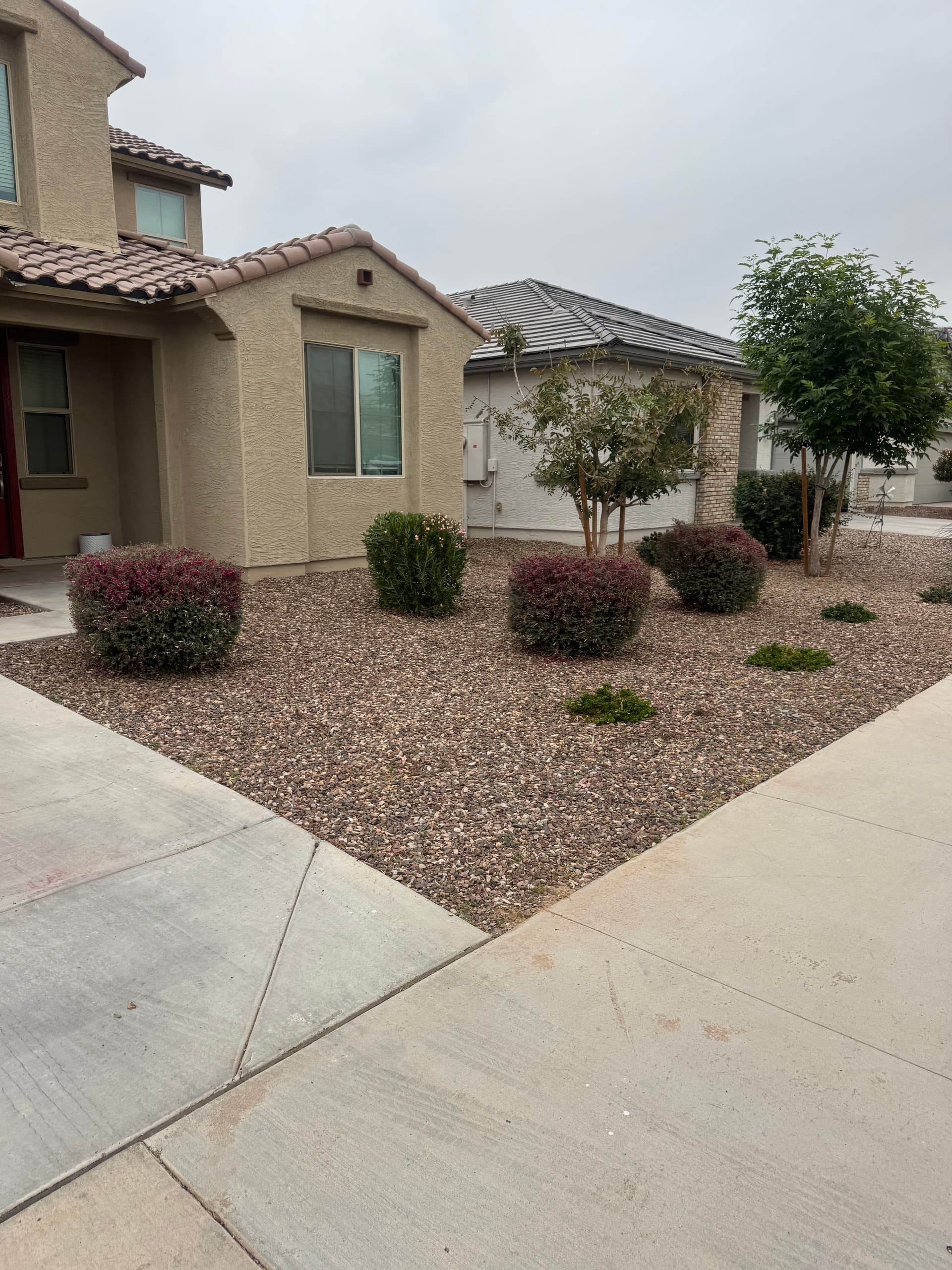 Beautiful Yard with Expert Rock Landscaping image